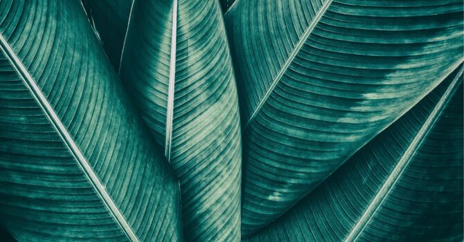 Non Registered Massage